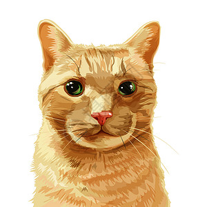 绿色眼睛小猫红色猫咪矢量肖像设计图片