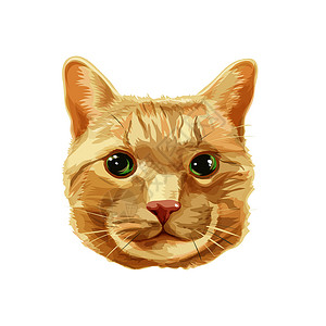 绿色眼睛小猫红猫头向量设计图片