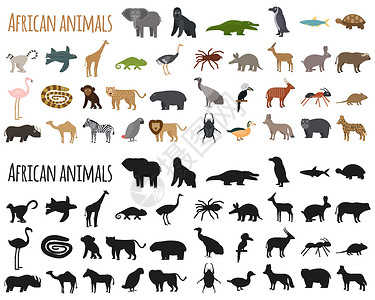 非洲火烈鸟一套非洲动物平板风格和圆光影 卡通可爱动物人物的矢量插图设计图片