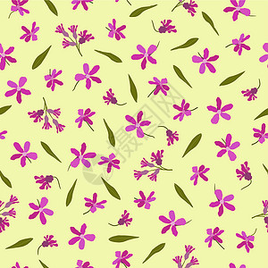 小野花紫罗兰无缝模式 黄色背景上有红花设计图片