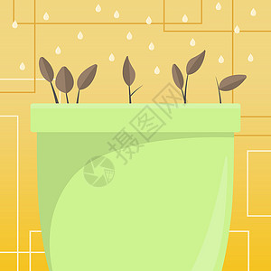 强化发展观念花草和草药由从上到下滴水冲刷 液体在大植物池中灌注 新鲜的种子强化了容器边缘的叶子环境保护环境计算机图形礼物生长植物学绿色卡通片设计图片