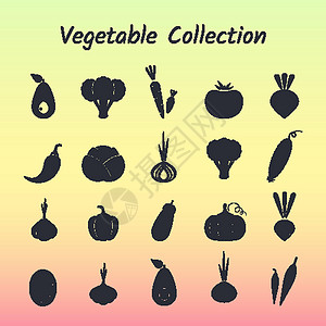 皱叶甘蓝黑色环影隔离蔬菜图标集设计图片