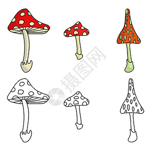 毒蝇鹅膏菌一组由三只以颜色和轮廓为颜色的苍蝇装饰 明亮而危险的蘑菇设计图片