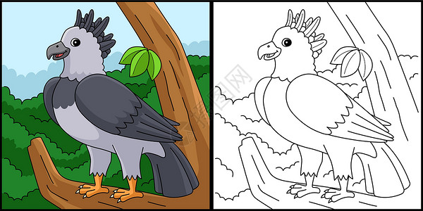 哈皮提霍皮鹰动物的颜色页面说明设计图片
