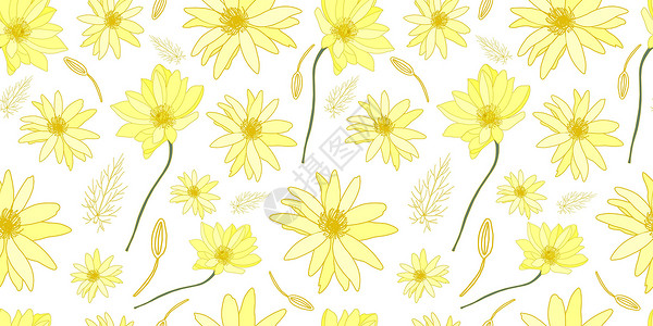 未开垦的白色背景的黄色花朵 野外夏季花朵 织物上美丽微妙的图案设计图片