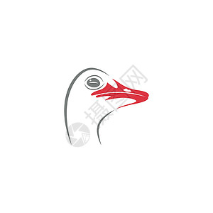 桂花鸡米头Ostric 图标标志标识设计插图农场荒野黑色脖子野生动物动物动物园设计图片