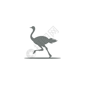 鸵鸟动物园Ostric 图标标志标识设计插图动物园动物农场荒野野生动物脖子黑色设计图片