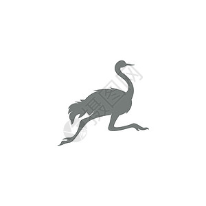 非洲鸵鸟Ostric 图标标志标识设计插图野生动物农场动物黑色荒野脖子动物园设计图片
