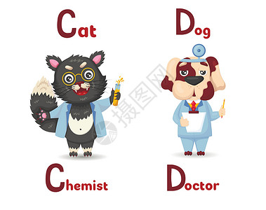 拉丁卡通拉丁字母ABC动物专业 从狗医生开始 用卡通风格的猫化学家开始设计图片
