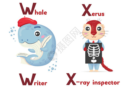 拉丁字母ABC动物职业 从写字鲸和卡通风格的Xxerus X光检查员开始设计图片