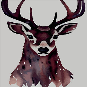 驯鹿长角驯鹿肖像 特写 矢量图 北方的野生动物 在风景的鹿头艺术动物麋鹿墙纸松树哺乳动物木头季节插图艺术品设计图片