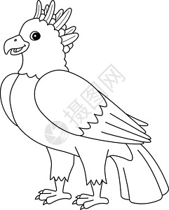 本哈杜哈皮鹰动物 儿童孤立的彩色页面设计图片