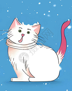 可爱的宠物雪貂冬天下雪了 还有我们可爱的朋友猫友谊乐趣小猫血统毛皮动物工作室宠物哺乳动物猫科设计图片