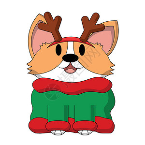 犬粮包装克丽丝玛毛衣上的可爱狗科吉 用颜色绘制插图设计图片