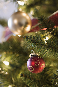 圣诞树装饰品 一小群物体 灯 红色的 球 季节 圣诞节背景图片