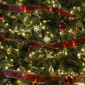 圣诞树 红色的 习俗和庆祝活动 灯 季节 正方形 喜庆的背景图片