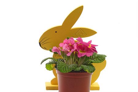 带花的复活节兔子 粉色的 花朵 木头 木制的背景图片