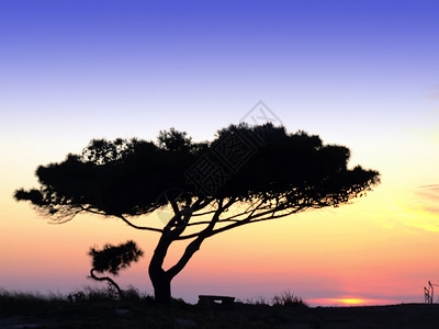 宁静 新时代 马耳他 深奥的 旅行 天空 假期 日落背景图片