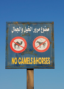 埃及交通信号背景图片