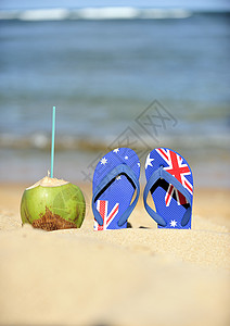 海滩和丁字 夏季鞋 放松 和平 椰子 假期 巴西背景图片