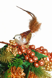 玻璃圣诞夜鸟背景图片