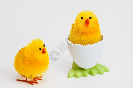 鸡蛋罐头鸡 快乐的 持有者 空的 蛋杯 绿色的 壳背景图片