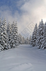科帕尼克冬季风景 圣诞节 冬天 自然 罗马尼亚 万里无云 山 冰背景