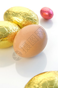 复活鸡蛋 巧克力 白色的 假期 篮子 糖果背景图片