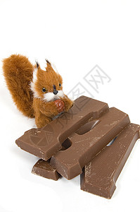 甜食节日带巧克力信的可爱肥松鼠c 白色的 传统背景图片