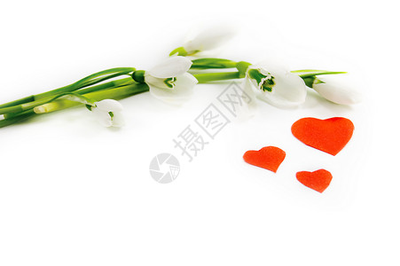 鲜花和爱情背景图片