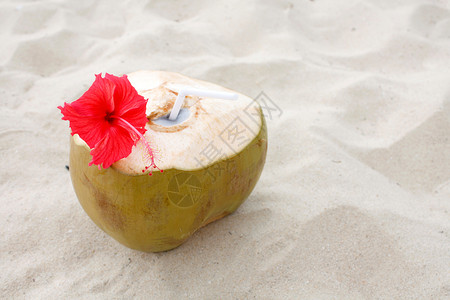 椰子饮料 海 热带 清除 太阳 蓝色的 假期背景图片