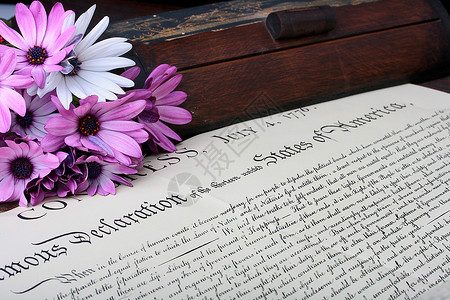 宣言 紫色 花束 假期 棺材 文档 历史 国会 信背景图片