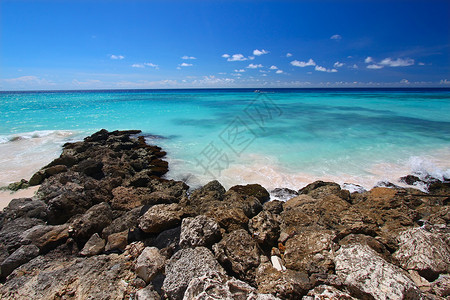 巴巴多斯洛基海岸线 轻松 布里奇敦 天堂 海滨 热带背景