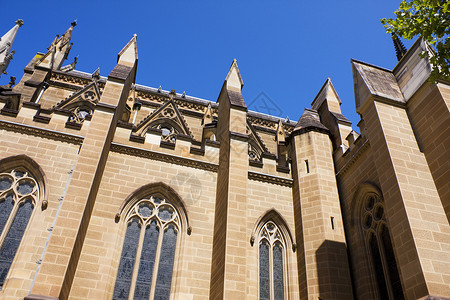 悉尼圣玛丽大教堂 建筑 教会 历史 建筑物 殖民背景图片