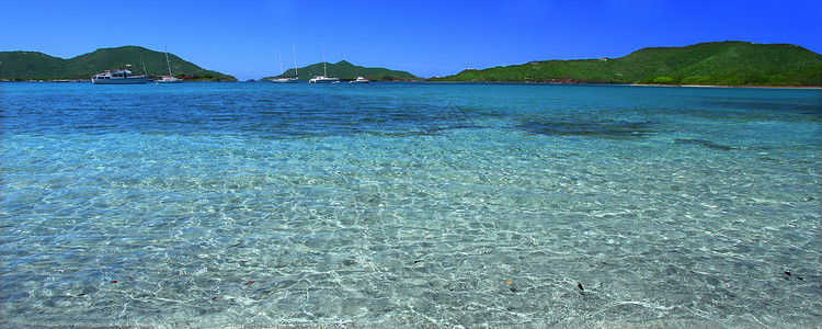 美丽的托尔托拉 英属维尔京群岛 海岸 水高清图片