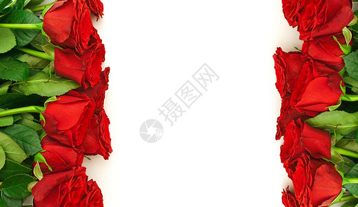 红玫瑰边框 内衬 假期 美丽的 新鲜的 邀请函 开花 浪漫的 植物背景图片