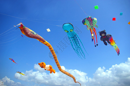 各种风筝旅行努尔高清图片