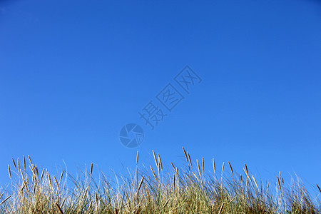明蓝的天空 其表面有青草高清图片