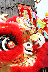 红中国狮子头的近身 红色的 庆典 花 舞蹈 眼睛 传统背景图片