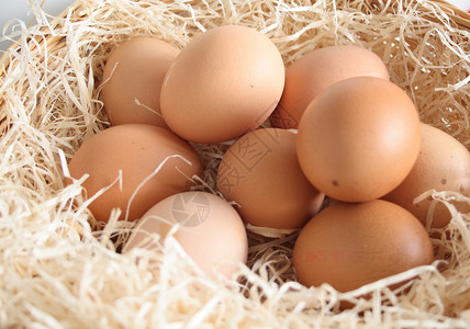鸡蛋在篮子里 白色的 食物 动物蛋 早餐 蛋壳背景图片