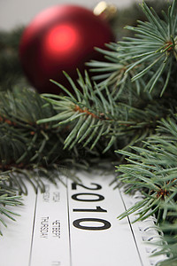 2010年日历 包括毛树枝的2010年日历背景图片