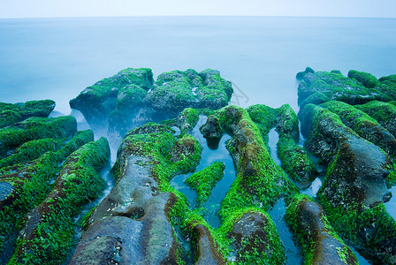 充满绿海草的落岩海滨 美丽的 自然 海景 支撑 热带图片