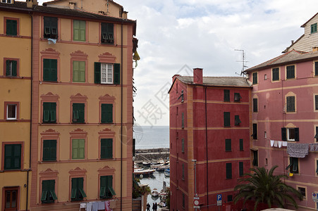 Camogli 意大利图片公司 老欧洲 假期 建筑背景图片