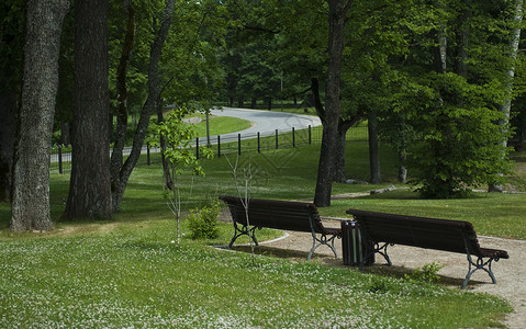 公园两张长椅图片