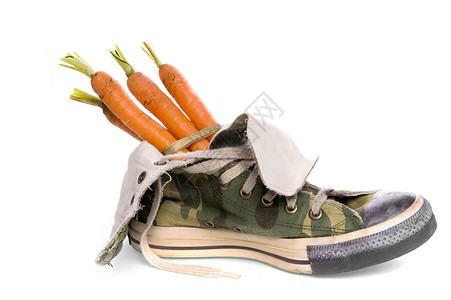 鞋 十二月 典型的 甜的 荷兰语 坚果 白色的 假期 糖果 胡萝卜背景图片
