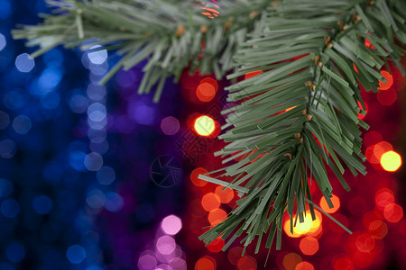 圣诞节主题 绿色的 事件分支 红色的 蓝色的 人造的背景图片