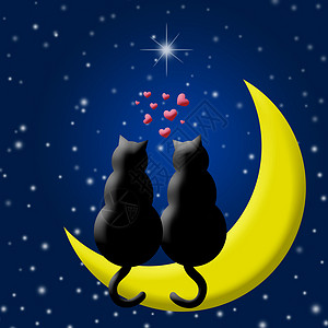 看星星的猫情人节快乐猫猫在月月亮的爱情坐着背景