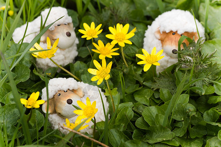 复活节或春季装饰   有趣的小绵羊 春天高清图片
