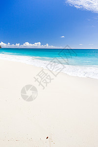 巴巴多斯 加勒比和巴巴多斯福湾 海景 热带 西印度群岛图片
