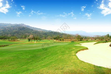 打高尔夫球的高尔夫球手 场景 高的 草 场地背景图片